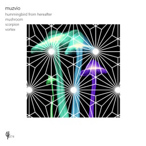 Listen to Vortex song with lyrics from Muzvio