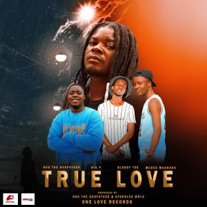 Listen to TRUE LOVE(feat. Mcdee Madhara, Blendy Tee & Big p) song with lyrics from Hardknox HDK