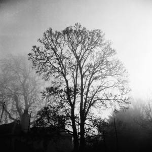 Listen to Clear Waters song with lyrics from Lightning, Thunder and Rain Storm