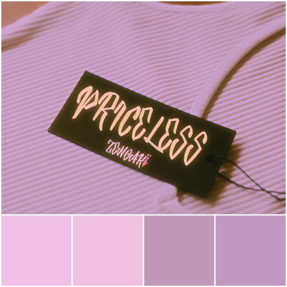 Priceless (Explicit)