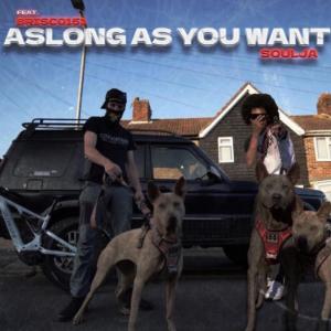 SJ 22 or Soulja的專輯AS LONG AS YOU WANT (feat. brisc0151) (Explicit)
