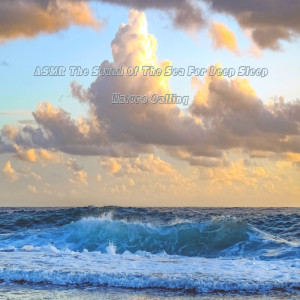 Dengarkan ASMR The Sound Of The Sea For Deep Sleep lagu dari 네이쳐콜링 dengan lirik