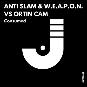 Listen to Juicy Waves (Original Mix) song with lyrics from Anti-Slam & W.E.A.P.O.N.