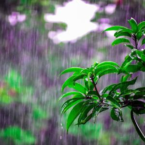 Hujan Lembut untuk Insomnia dari Suara Alam