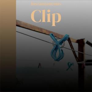 Album Instantaneous Clip oleh Various Artists