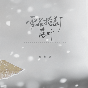 Listen to 雪花掩盖了落叶 (DJ京仔版伴奏) song with lyrics from 卓别李