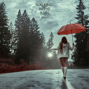 อัลบัม Walking In The Rain ศิลปิน The Ronettes