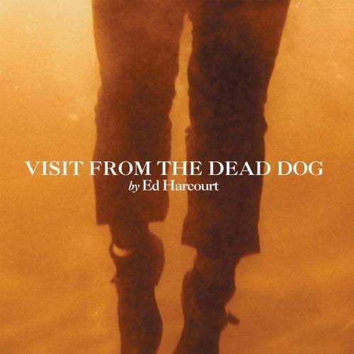 Visit from the Dead Dog