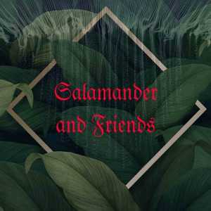 Album Padi Di Senjamu from Salamander