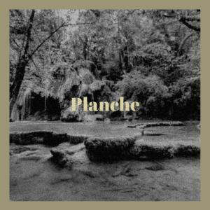 收听Claas的Motel Paparazzi歌词歌曲