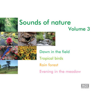 ดาวน์โหลดและฟังเพลง Amanecer En El Campo พร้อมเนื้อเพลงจาก Natural Sound