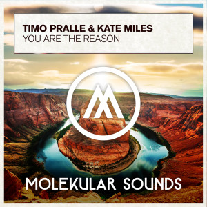 Timo Pralle的專輯You Are The Reason