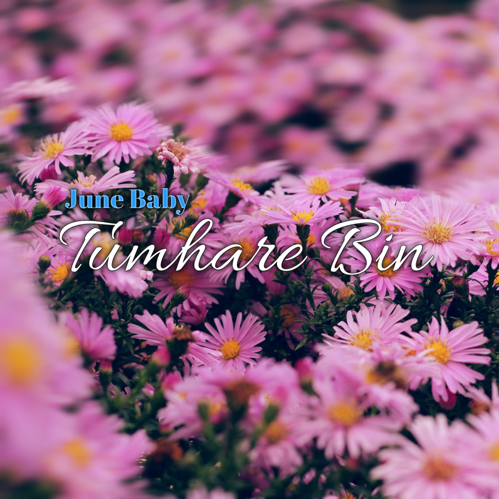 Tumhare Bin