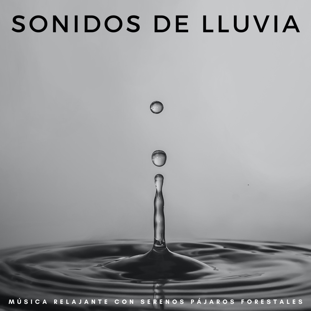 Melodía De Ducha De Lluvia Calmante