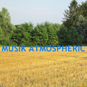 Listen to Musik Atmospheric song with lyrics from Roberto Panduan