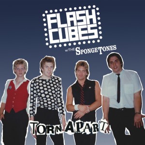 收聽The Flashcubes的Have You Ever Been Torn Apart?歌詞歌曲
