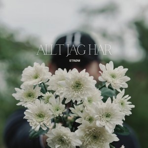 Album Allt jag har from Strøm