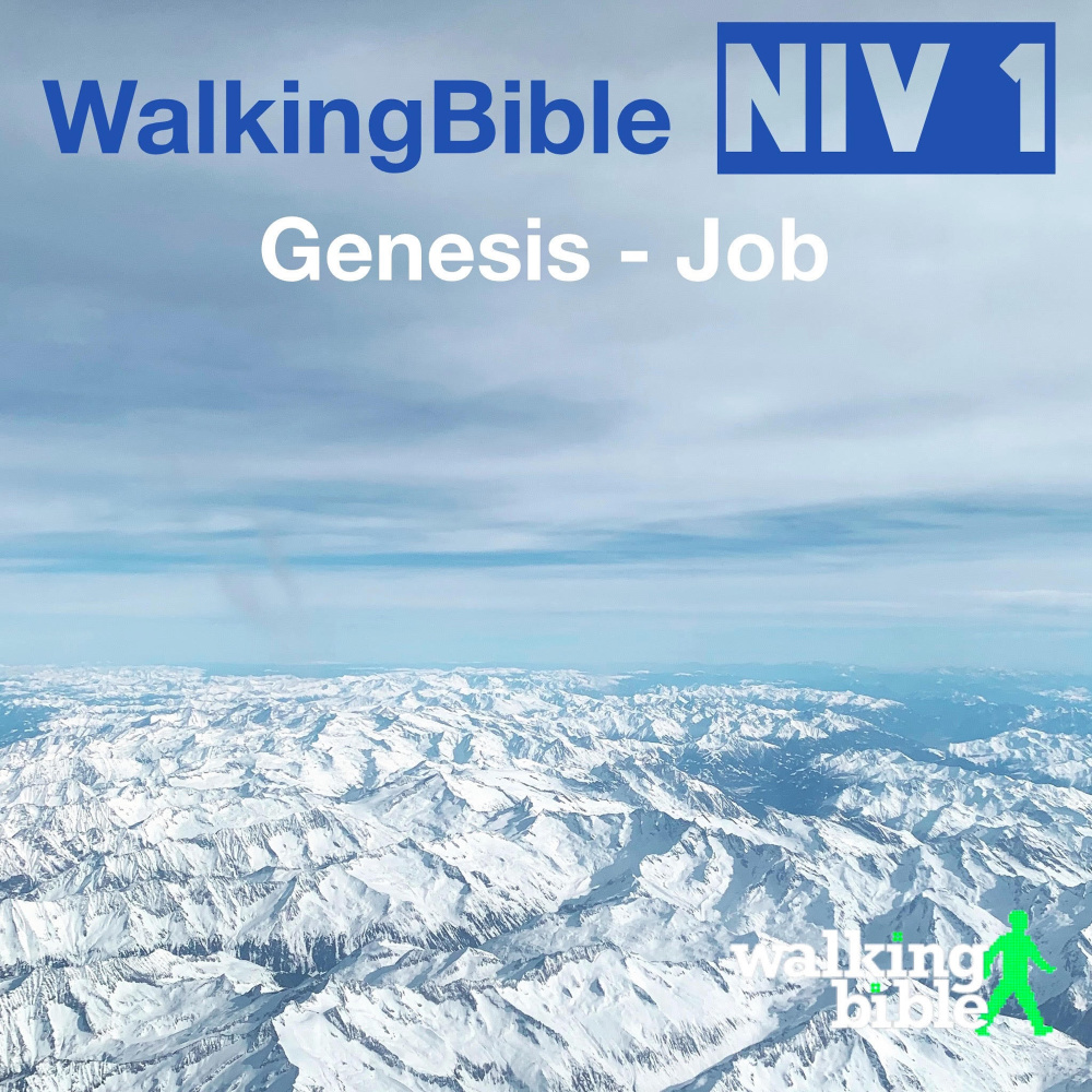 Nehemiah 1:4