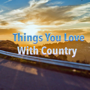 Dengarkan There Goes My Everything lagu dari Wildlife dengan lirik