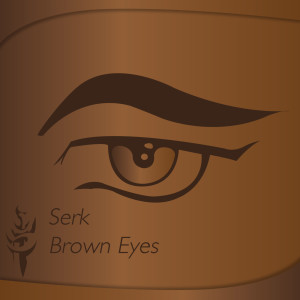Listen to Brown Eyes (Album Version) song with lyrics from Berk & The Virtual Band