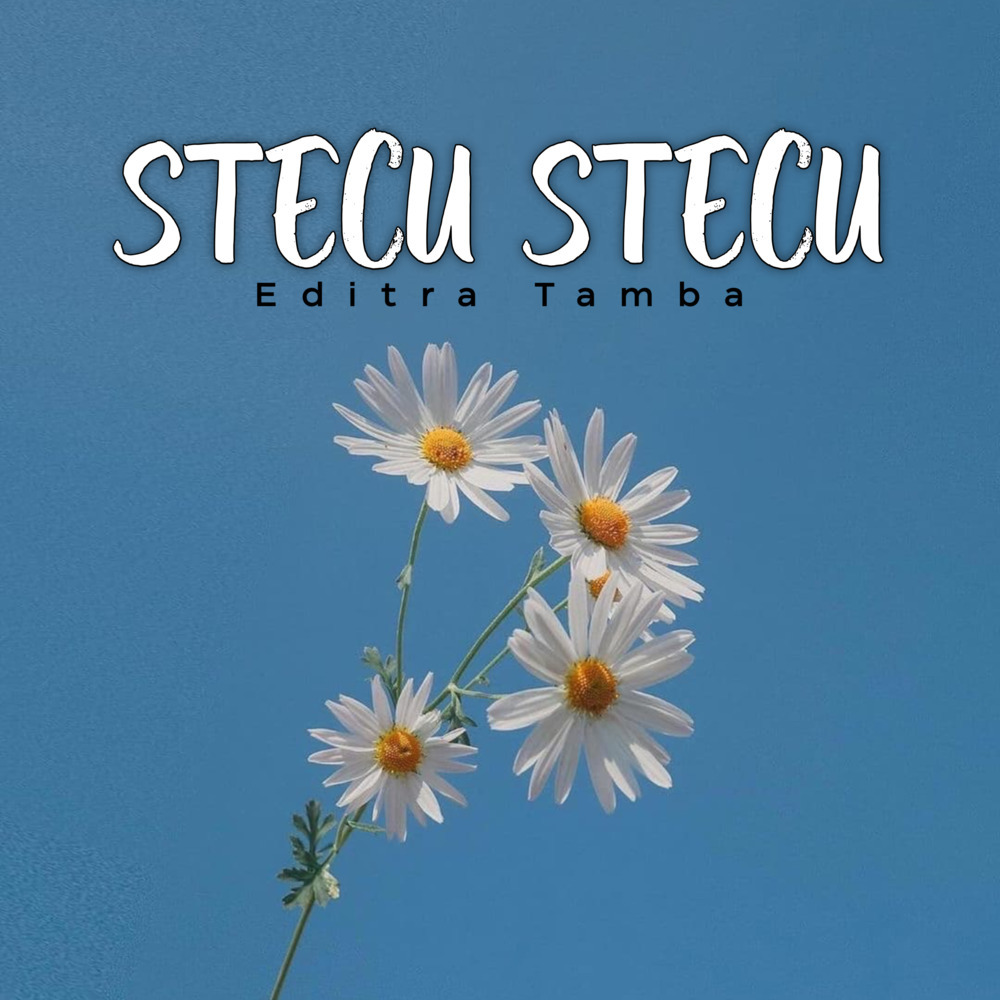 Stecu Stecu