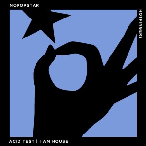 ดาวน์โหลดและฟังเพลง I Am House พร้อมเนื้อเพลงจาก Nopopstar