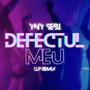 Listen to Defectul Meu (Remix) song with lyrics from Yny Sebi