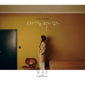 Dengarkan lagu Coin Laundry (Never Loved) nyanyian WAX dengan lirik