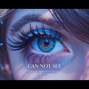 Album Can Not See from 