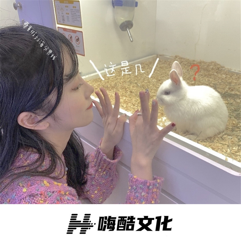 青花瓷 (DJ版)