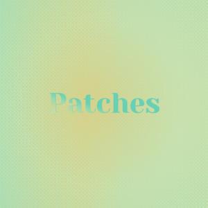 Album Patches from Silvia Natiello-Spiller
