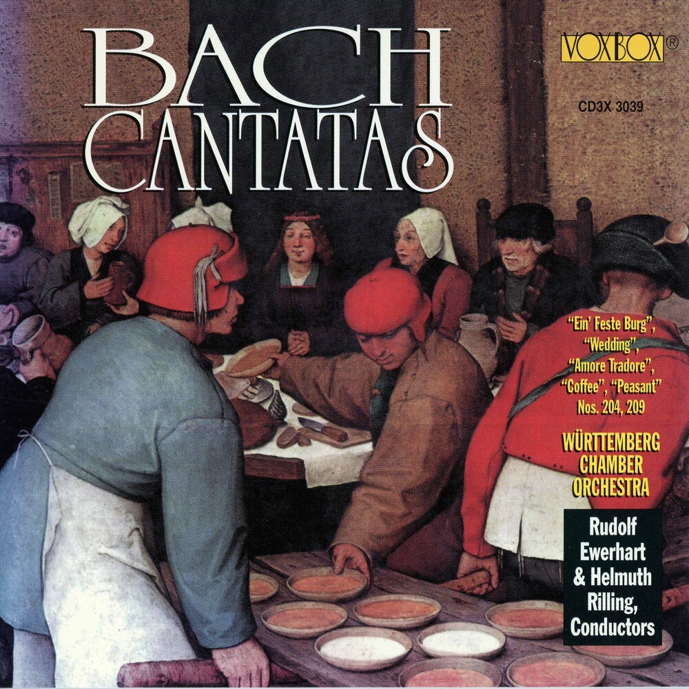 Amore traditore, BWV 203: I. Amore traditore