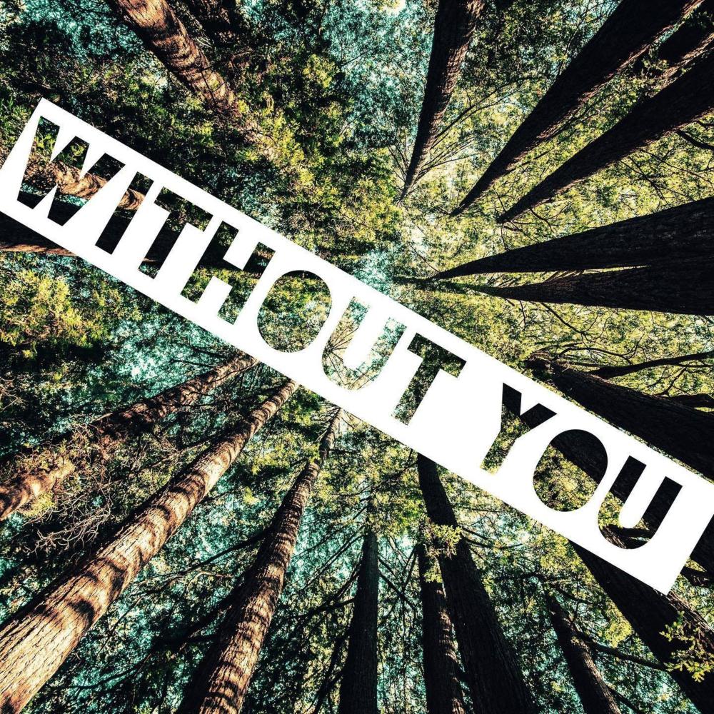 Without You