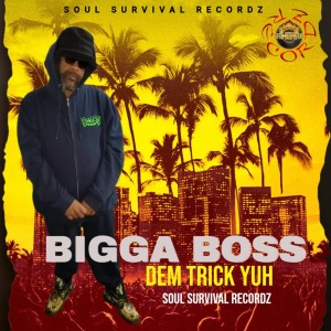 Album Dem Trick Yuh from Bigga Boss