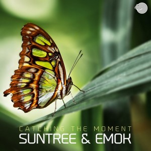 Dengarkan lagu Catching the Moment nyanyian Suntree dengan lirik