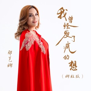 Listen to 我曾经发了疯的想 (DJ默涵版) song with lyrics from 那艺娜