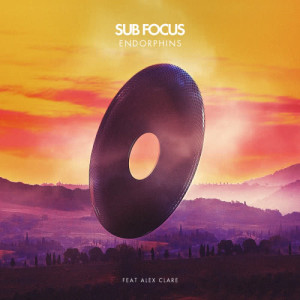 ดาวน์โหลดและฟังเพลง Endorphins (Dismantle Remix) พร้อมเนื้อเพลงจาก Sub Focus