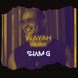 Sham G的專輯Amr Diab - Wayah (Sham G Remix)