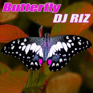 Album Butterfly oleh DJ Riz