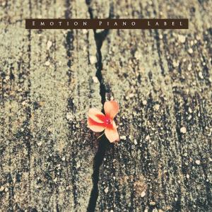 Dengarkan The tears that I endured lagu dari Jeong Soli dengan lirik