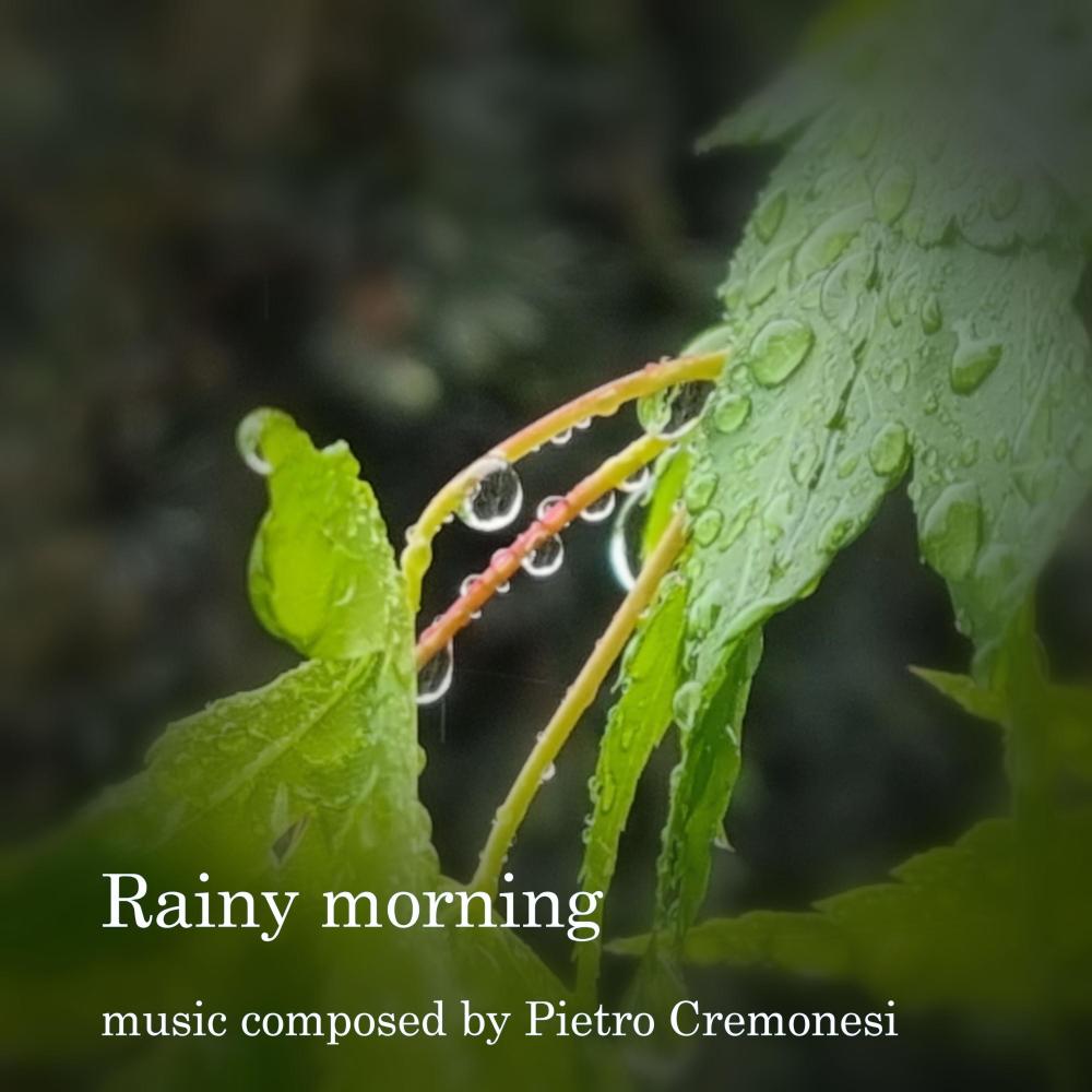 Rainy morning