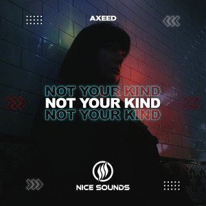 收聽AxeeD的Not Your Kind歌詞歌曲