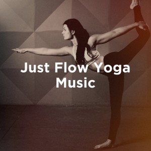 Album Just Flow Yoga Music oleh Various