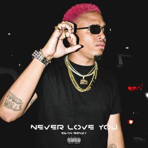 Esan Benzy的專輯Never Love You (Slow & Nasty) (Explicit)