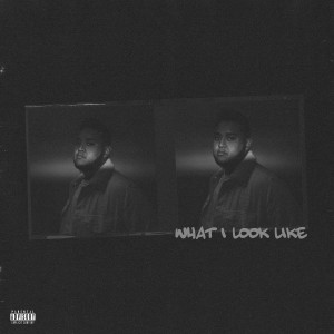 Album What I Look Like (Explicit) from JunkieMunkie