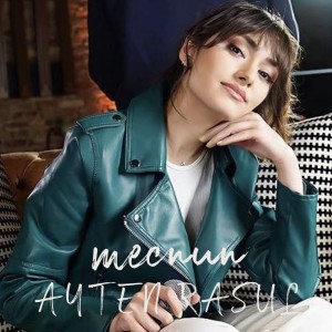 Ayten Rasul的专辑Mecnun