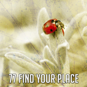 77 Find Your Place