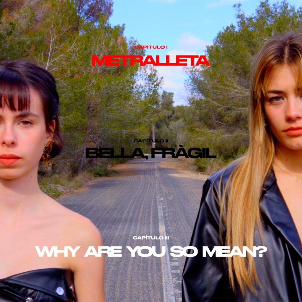 WHY ARE YOU SO MEAN?