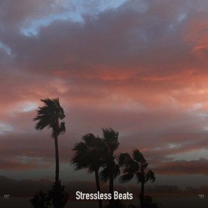 !!!!" Stressless Beats "!!!!