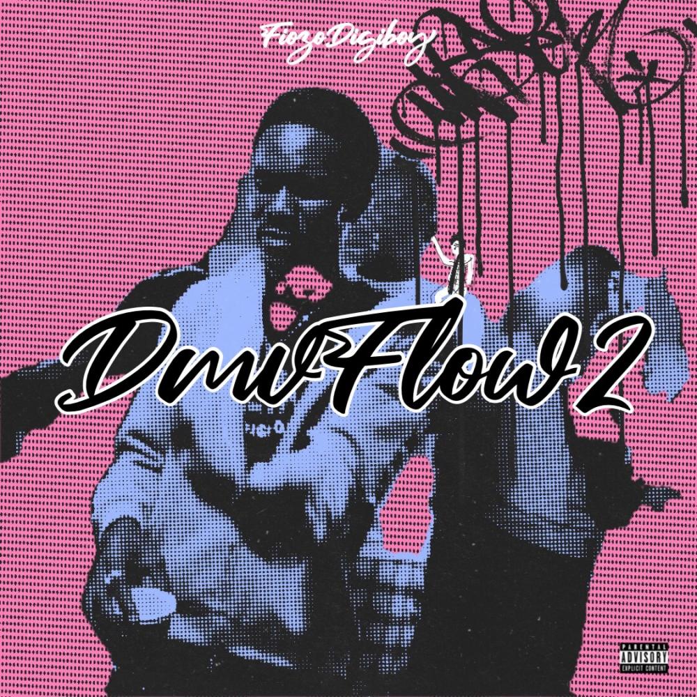DMVFLOW 2 (Explicit)